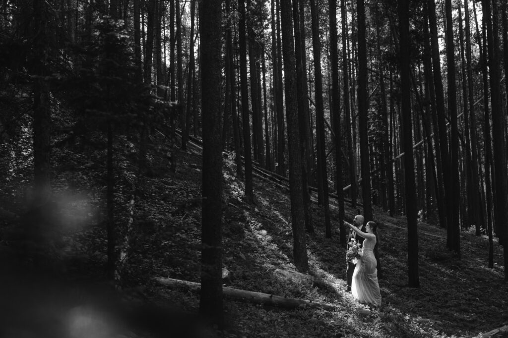 Couple in a forest of lodge pole pines on their elopement day