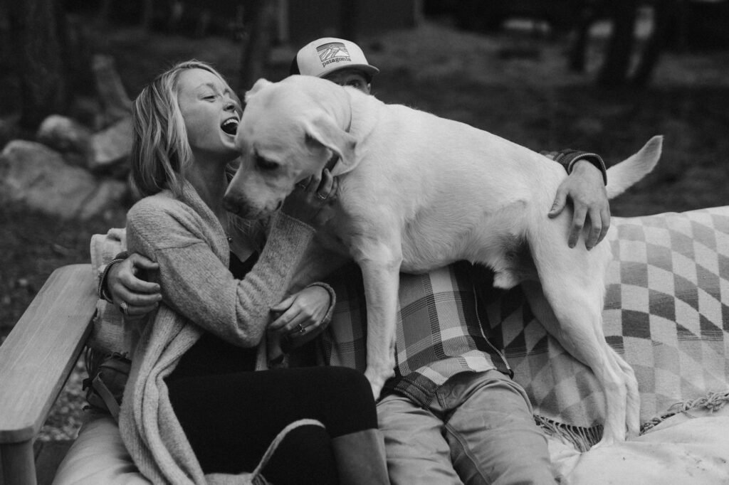 Dog climbing over couple during their engagement session