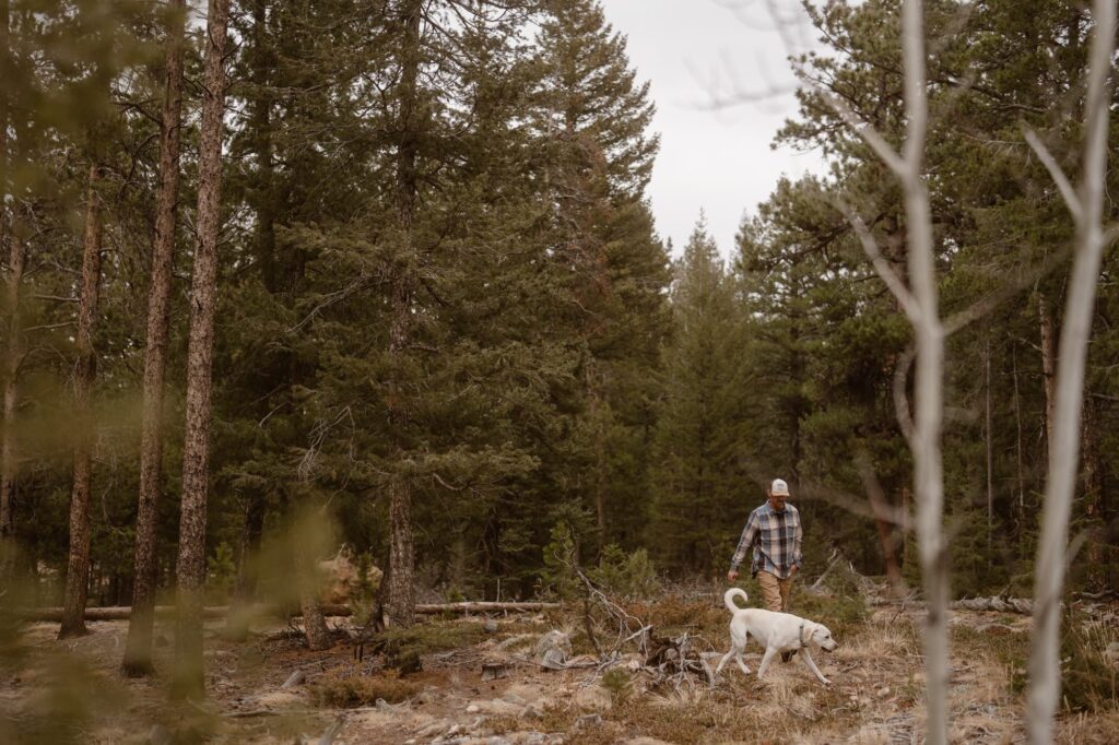 Dog and owner walking through the woods in Colorado