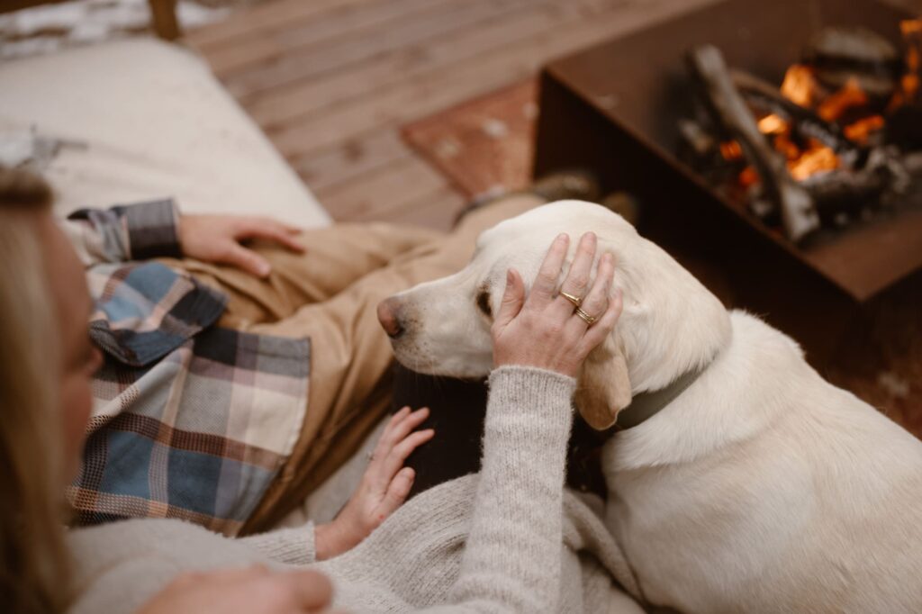 Yellow lab getting all the pets and love