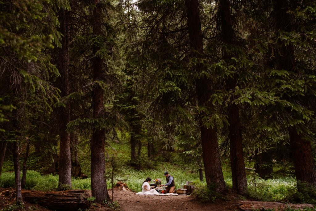 Bride and groom in a forest sharing a picnic