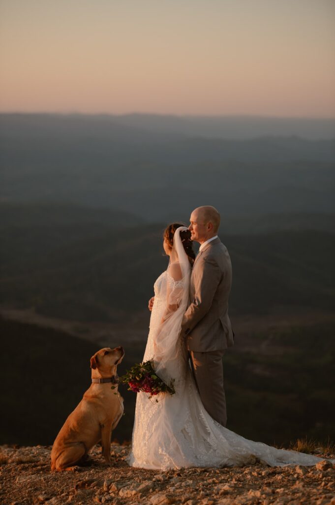 Dog looking at bride and groom on a mountain top