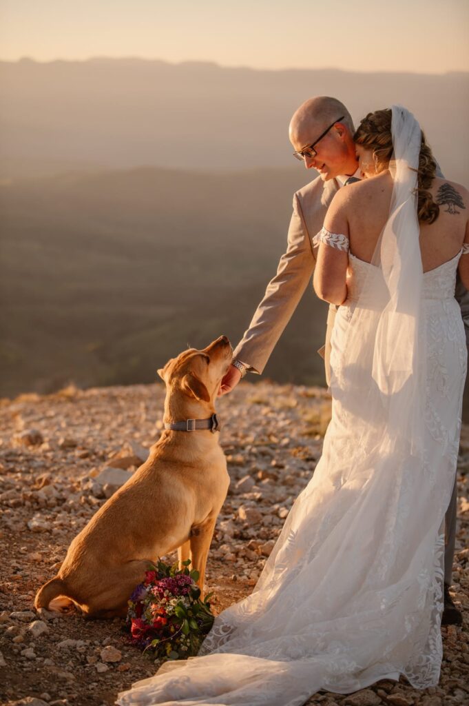 Couple with their dog a mountain top on their wedding day