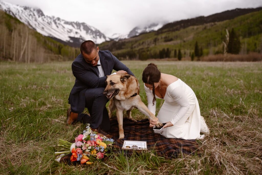 Dog signing marriage license in Colorado mountains on couple's elopement day