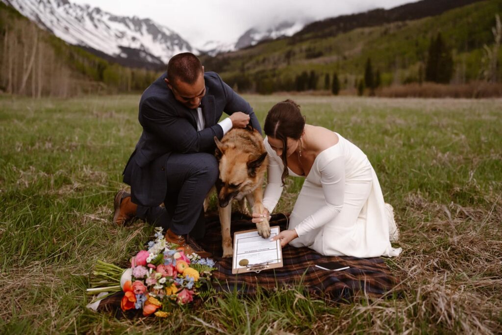 Dog signing marriage license in Colorado mountains