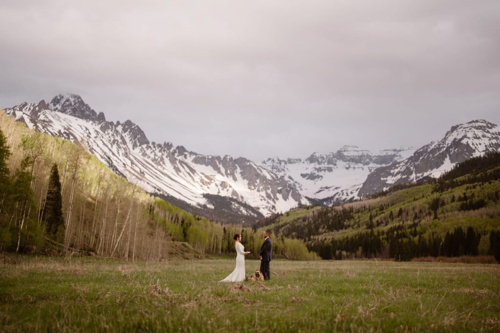 Couple in the middle of a treelined meadow with mountains in the distance