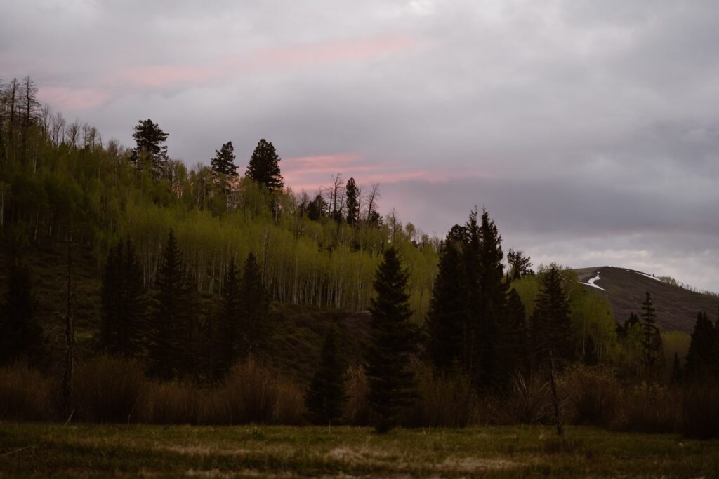 Sunset in the meadow near Ouray, Colorado