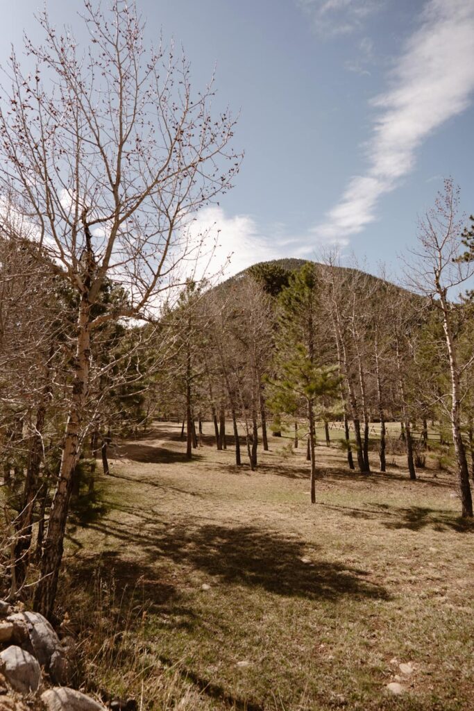 View of the meadow behind The Landing at Estes Park